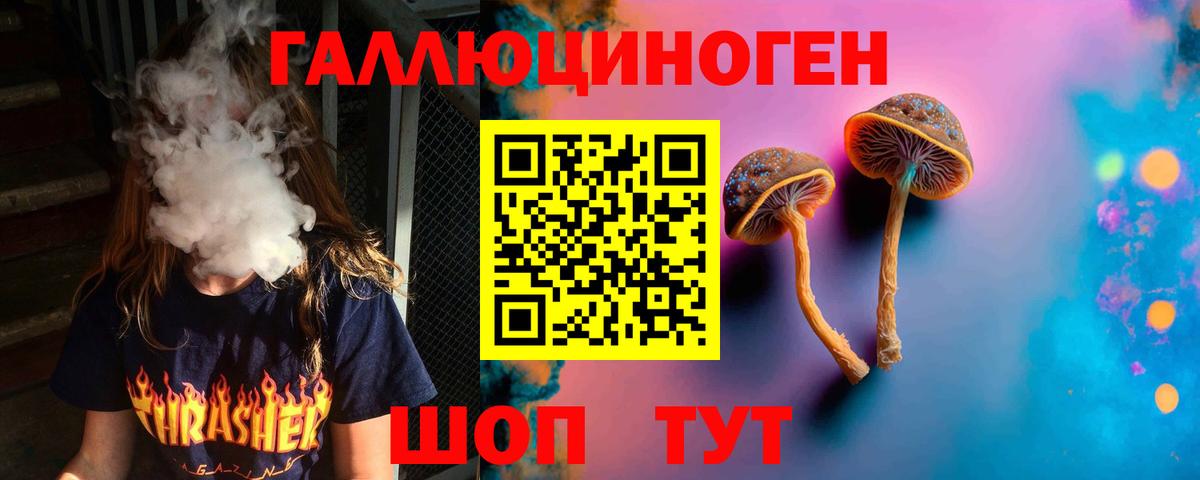 Псилоцибиновые грибы Magic Shrooms  Вход с VPN  Знаменск  Псилоцибиновые грибы Psilocybine cubensis 
